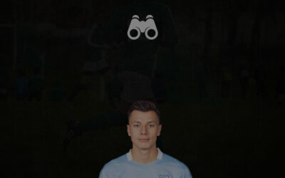 Scout Report: Anel Ahmedhodzic